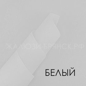 Коллекция Шелк 2 ткани для рулонки