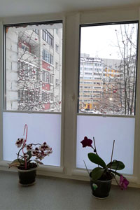 штора рулонка зебра